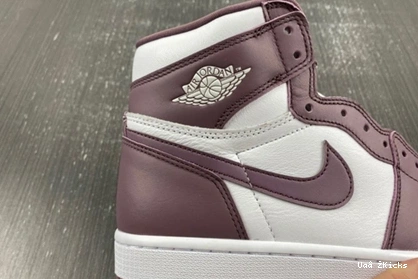 Retro 8885  1 Compact OG Jordan Sky 125 DZ5485- Mauve High J 0818